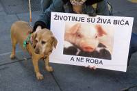 Prosvjed protiv transporta �ivotinja 2009. [ 380.87 Kb ]