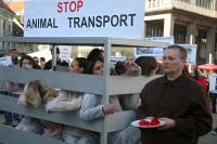 Prosvjed protiv transporta �ivotinja 2009. [ 440.52 Kb ]