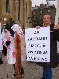 Akcija protiv krzna u Novom Sadu b [ 122.74 Kb ]