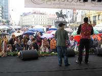 ZeGeVege Festival 2010 - 3 [ 106.26 Kb ]