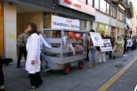 Prosvjed protiv transporta �ivotinja 2010. 5 [ 141.52 Kb ]