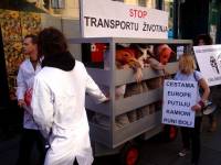 Prosvjed protiv transporta �ivotinja 2010. 22 [ 137.32 Kb ]