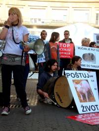 Prosvjed protiv transporta �ivotinja 2010.  27 [ 158.65 Kb ]