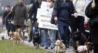 Foto: Vecernji.hr [ 46.96 Kb ]