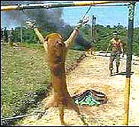 Dog die to teach Peru's soldiers how to kill [ 30.83 Kb ]