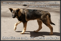 Ubijanje u skloni�tima [ 1.04 Mb ]