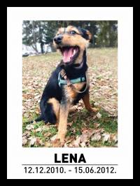 Lena