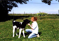 Uto�i�ta za farmske �ivotinje 1 [ 34.83 Kb ]