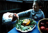Boy and turkey [ 26.43 Kb ]