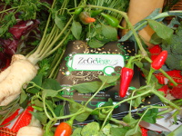 Zegevege festival [ 3.67 Kb ]