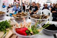 ZeGeVege festival 2015, photo: M3 Photography - Marija Feldi [ 366.80 Kb ]