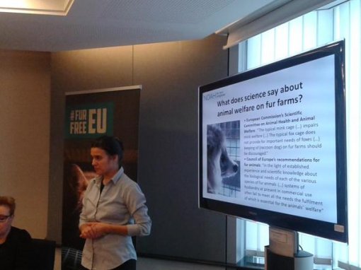 Siri Martinsen-NOAH [ 33.38 Kb ]