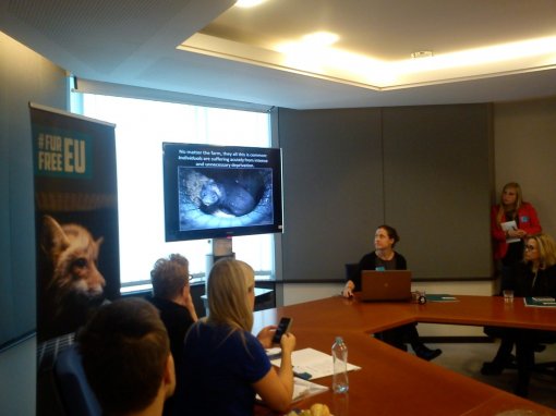 McArthur [ 128.09 Kb ]