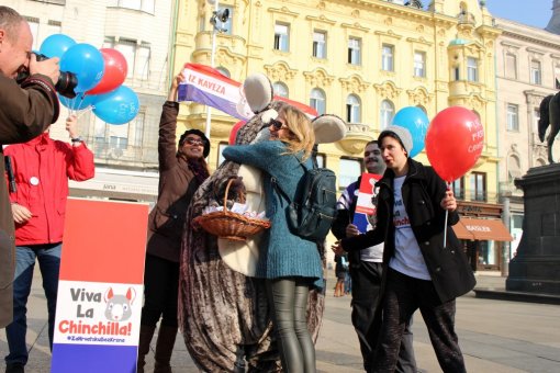 �in�in predizborni skup [ 238.81 Kb ]