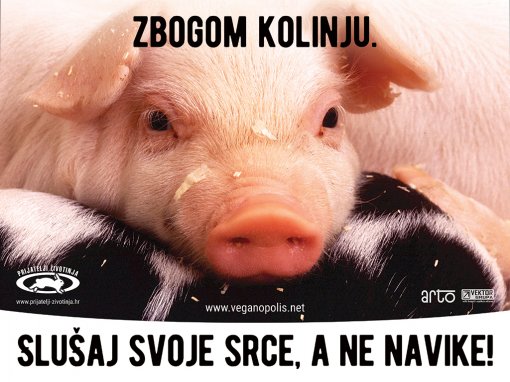 Zbogom kolinju - slu�aj svoje srce, a ne navike! [ 748.76 Kb ]