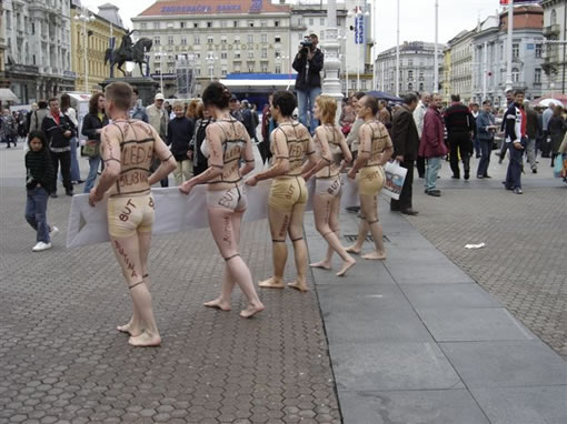 Sve �ivotinje imaju iste dijelove 2