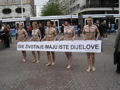 Sve �ivotinje imaju iste dijelove 5