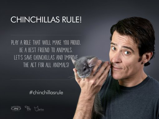 Chinchillas Rule - Goran Vi�nji� [ 777.36 Kb ]