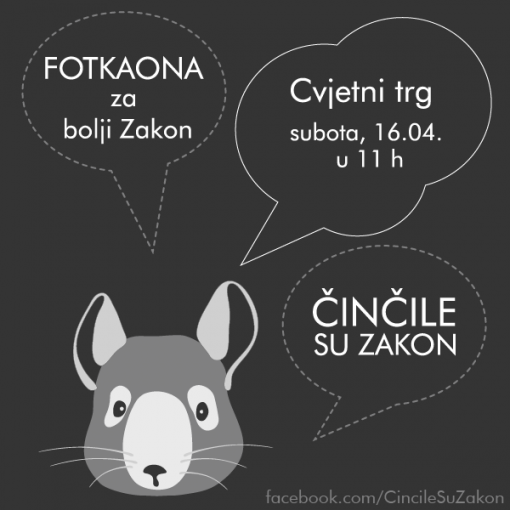 Strike a pose and say: "Chinchillas rule" [ 44.49 Kb ]