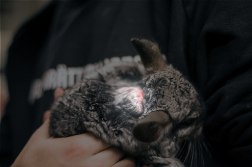 Iza bunde: pri�a o �in�ilama kroz 20 fotografija