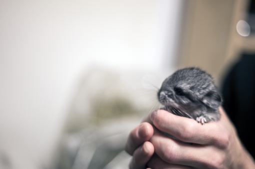 Iza bunde: pri�a o �in�ilama kroz 20 fotografija