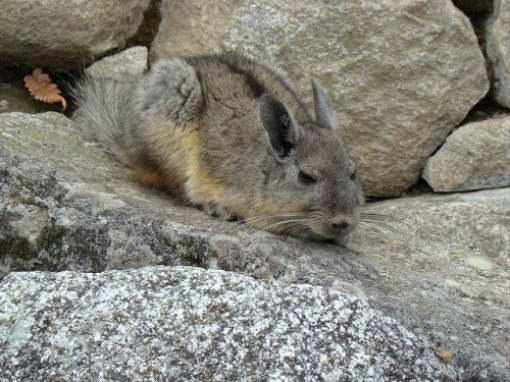 Iza bunde: pri�a o �in�ilama kroz 20 fotografija