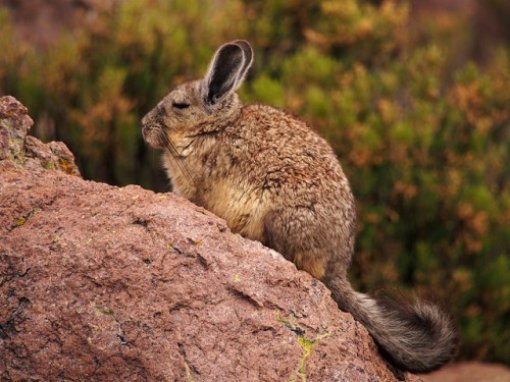 Iza bunde: pri�a o �in�ilama kroz 20 fotografija