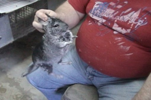 Iza bunde: pri�a o �in�ilama kroz 20 fotografija