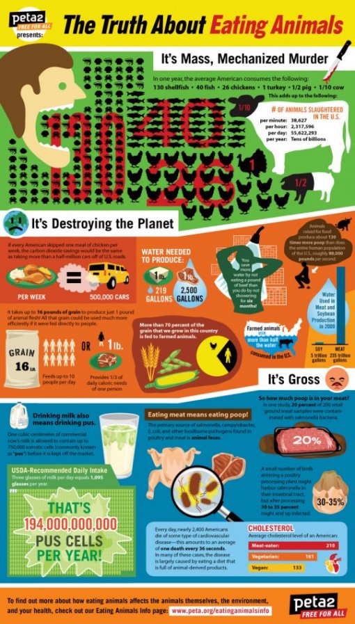 World food day [ 210.64 Kb ]