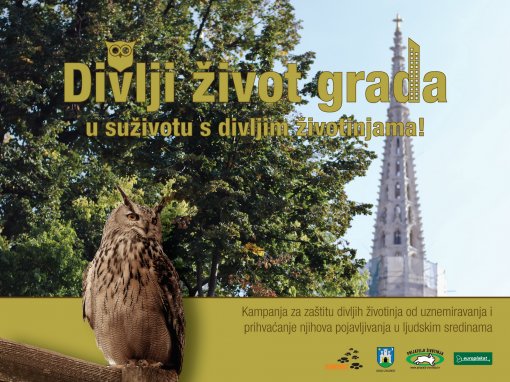 kampanja divlji zivot grada [ 1.05 Mb ]