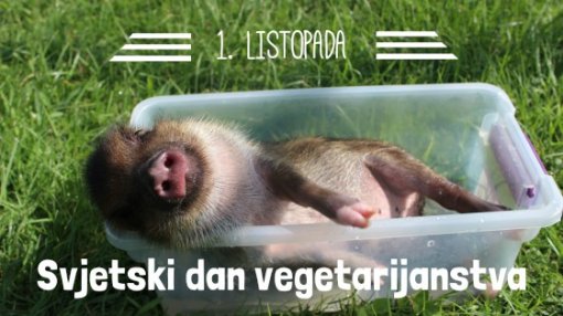 Svjetski dan vegetarijanstva [ 62.24 Kb ]