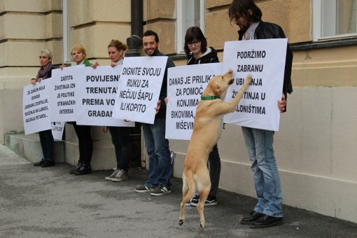 New Animal protection act is elected [ 493.91 Kb ]