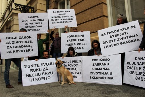 New Animal protection act is elected [ 531.25 Kb ]