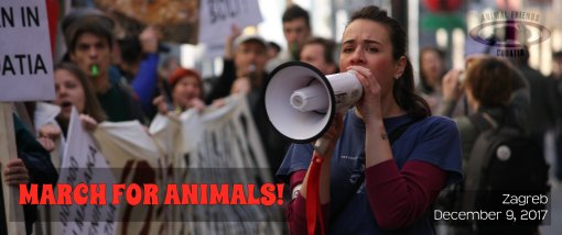 March for Animals eng banner [ 856.19 Kb ]