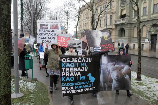 Mar� za �ivotinje, foto: Ana Mihali� [ 484.43 Kb ]