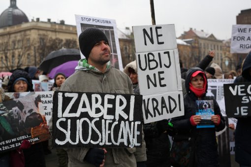 Mar� za �ivotinje, foto: Jelena Ra�i� [ 320.65 Kb ]