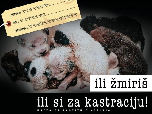 Ili �miri� ili si za kastraciju [ 388.94 Kb ]