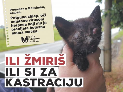 Ili �miri� ili si za kastraciju [ 306.73 Kb ]