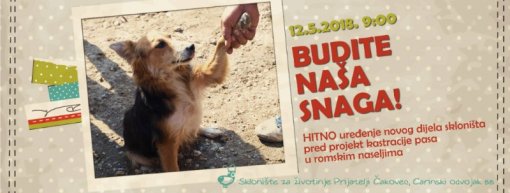 Radna akcija u skloni�tu [ 69.63 Kb ]