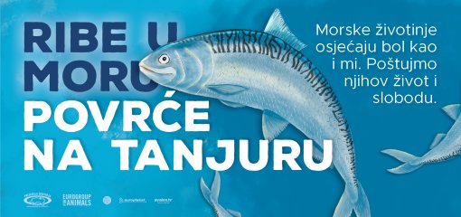 Ribe u moru, povr�e na tanjuru [ 949.16 Kb ]