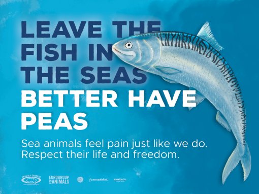 Leave fish in the seas, better have peas [ 917.00 Kb ]
