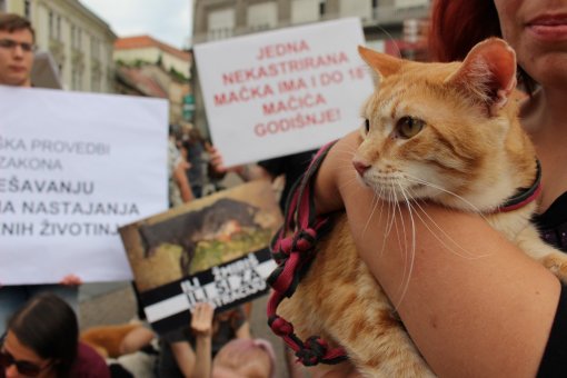 Psi i gra�ani ukazali na problem neprovedbe Zakona [ 166.60 Kb ]