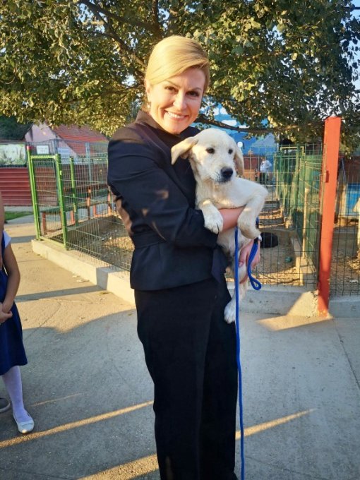Kolinda adopted dog [ 213.67 Kb ]