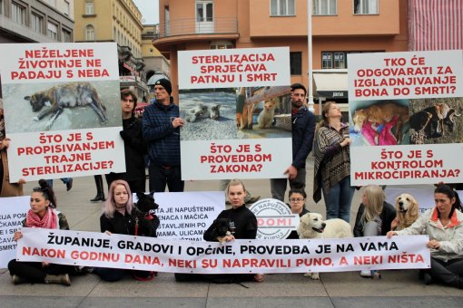 Godi�njica Zakona o za�titi �ivotinja [ 329.85 Kb ]