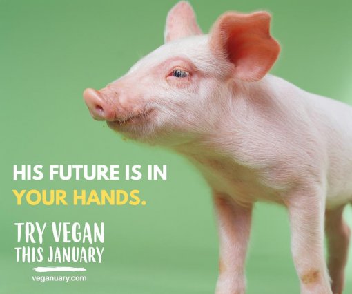 Veganuary [ 58.19 Kb ]