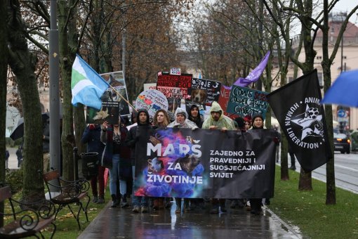 Mar� za �ivotinje, foto: Jelena Ra�i� [ 363.22 Kb ]