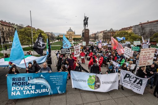 Mar� za �ivotinje 2019., foto: Uro� Modlic [ 672.97 Kb ]