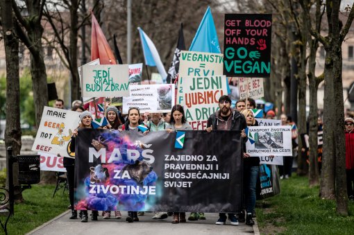 Mar� za �ivotinje 2019., foto: Uro� Modlic [ 555.33 Kb ]