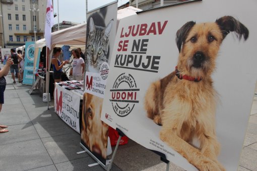 Ljubav se ne kupuje 2019 [ 249.95 Kb ]