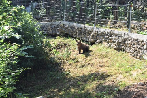 Matija-Kuterevo-5 [ 846.46 Kb ]